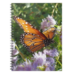Monboogvlinder Foto Paarse aanjager Natuur Notitieboek