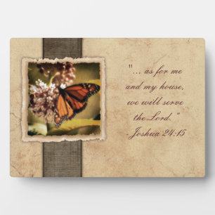  Monboogvlinder Fotoplaat