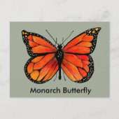 Monboogvlinder Illustratie op Briefkaart (Voorkant)