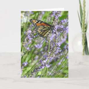 Monboogvlinder in een blanco lavendellak kaart