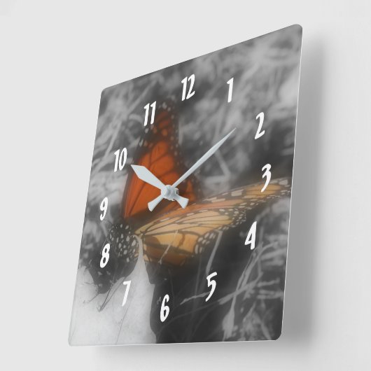 Monboogvlinder in zwarte en witte Natuur Vierkante Klok (Hoek)