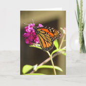Monboogvlinder Kaart (Voorkant)
