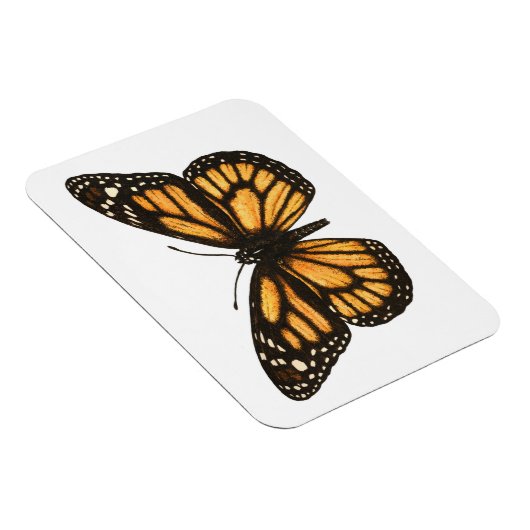 Monboogvlinder Magneet (Rechterzijde)