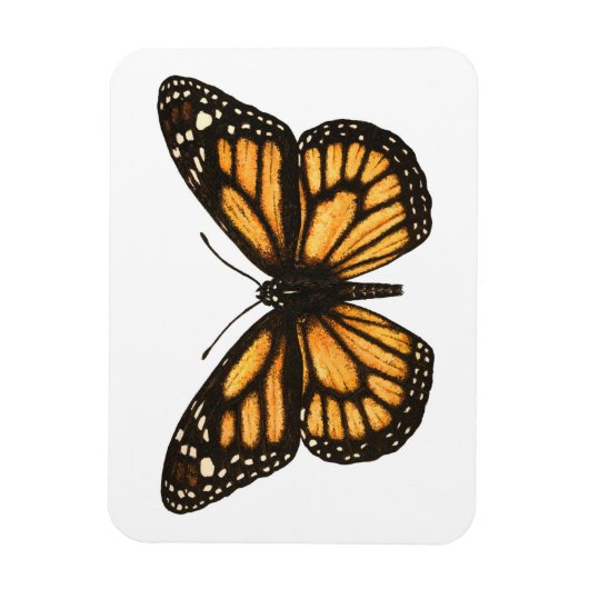 Monboogvlinder Magneet (Verticaal)