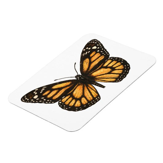 Monboogvlinder Magneet (Linkerzijde)