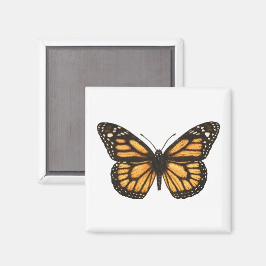 Monboogvlinder Magneet (Voorkant / Achterkant)