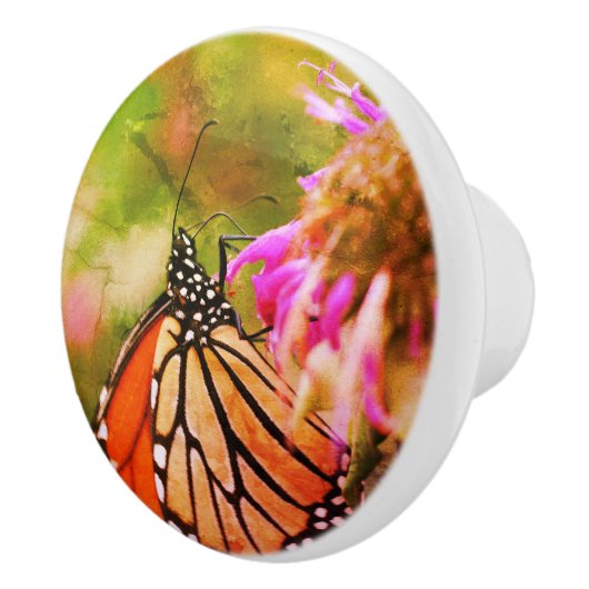 Monboogvlinder met aanloop Abstract sluiten Keramische Knop (Rechts)