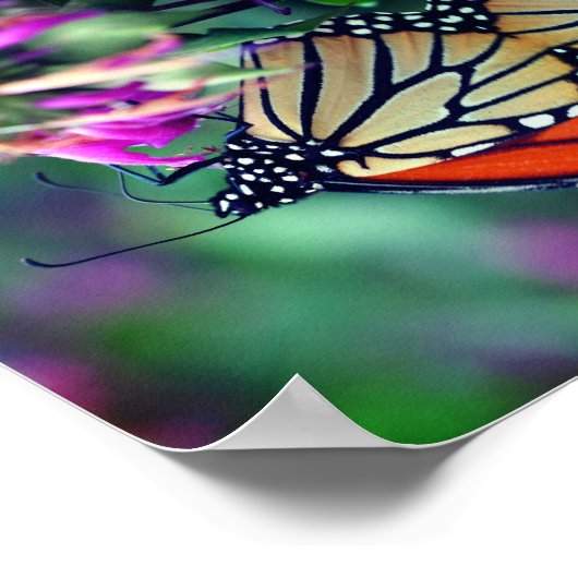 Monboogvlinder met aanloop Abstract sluiten Poster (Hoek)