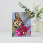Monboogvlinder op bougainvillea blossom briefkaart (Staand voorkant)