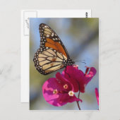 Monboogvlinder op bougainvillea blossom briefkaart (Voorkant / Achterkant)