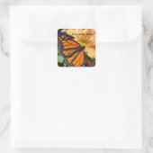 Monboogvlinder op chrysanthemabloem vierkante sticker (Tas)