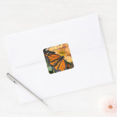 Monboogvlinder op chrysanthemabloem vierkante sticker (Envelop)