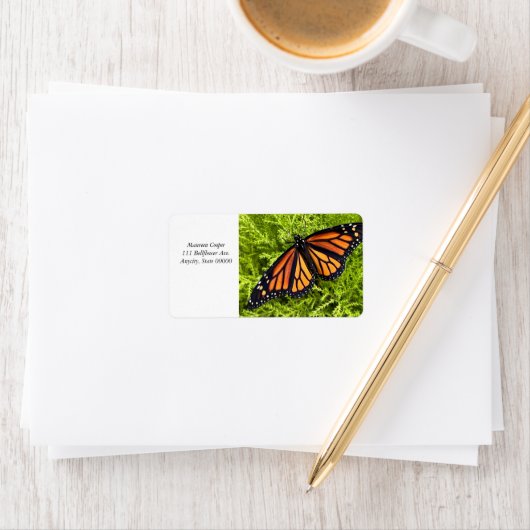 Monboogvlinder op cypress-plant etiket (Insitu)