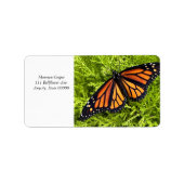 Monboogvlinder op cypress-plant etiket (Voorkant)