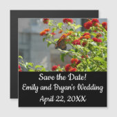 Monboogvlinder op de Struik rode vlinder (Voorkant / Achterkant)