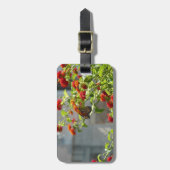 Monboogvlinder op de Struik rode vlinder Bagagelabel (Voorkant verticaal)