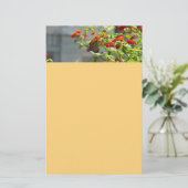 Monboogvlinder op de Struik rode vlinder Briefpapier (Staand voorkant)