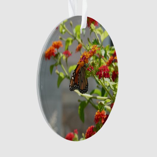 Monboogvlinder op de Struik rode vlinder Ornament (voorkant)