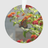 Monboogvlinder op de Struik rode vlinder Ornament (voorkant)