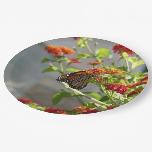 Monboogvlinder op de Struik rode vlinder Papieren Bordje (Gekanteld)