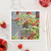 Monboogvlinder op de Struik rode vlinder Servet (Insitu)