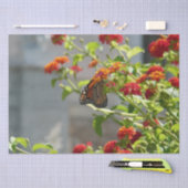 Monboogvlinder op de Struik rode vlinder Tissuepapier (Craft)