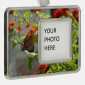 Monboogvlinder op de Struik rode vlinder Verzilverd Omlijst Ornament (Rechts)