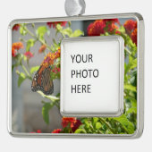 Monboogvlinder op de Struik rode vlinder Verzilverd Omlijst Ornament (Links)