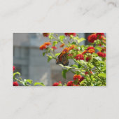 Monboogvlinder op de Struik rode vlinder Visitekaartje (Achterkant)