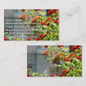 Monboogvlinder op de Struik rode vlinder Visitekaartje (Voorkant / Achterkant)