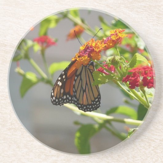 Monboogvlinder op de Struik rode vlinder Zandsteen Onderzetter (Voorkant)