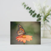 Monboogvlinder op een oranje bloem briefkaart (Staand voorkant)