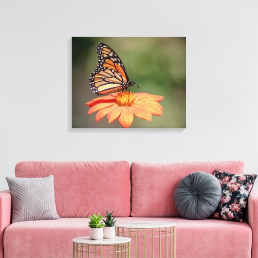 Monboogvlinder op een oranje bloem canvas afdruk (Insitu (Woonkamer))