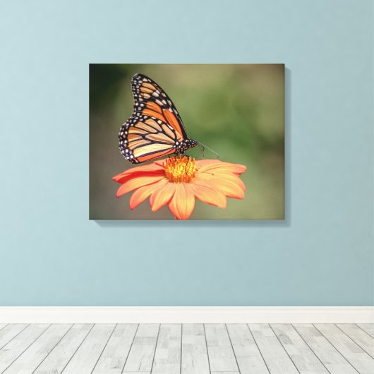 Monboogvlinder op een oranje bloem canvas afdruk (Insitu (Houten vloer))