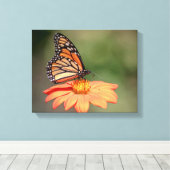 Monboogvlinder op een oranje bloem canvas afdruk (Insitu (Houten vloer))