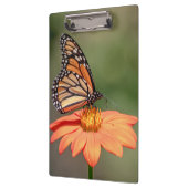 Monboogvlinder op een oranje bloem klembord (Links)