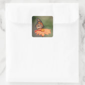 Monboogvlinder op een oranje bloem vierkante sticker (Tas)