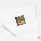 Monboogvlinder op een oranje bloem vierkante sticker (Envelop)