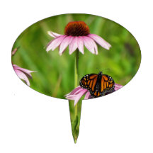 Monboogvlinder op een paarse concefloer