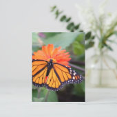 Monboogvlinder op oranje bloem briefkaart (Staand voorkant)