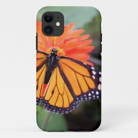 Monboogvlinder op oranje bloem Case-Mate iPhone case (Achterkant)