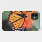 Monboogvlinder op oranje bloem Case-Mate iPhone case (Achterkant (horizontaal))