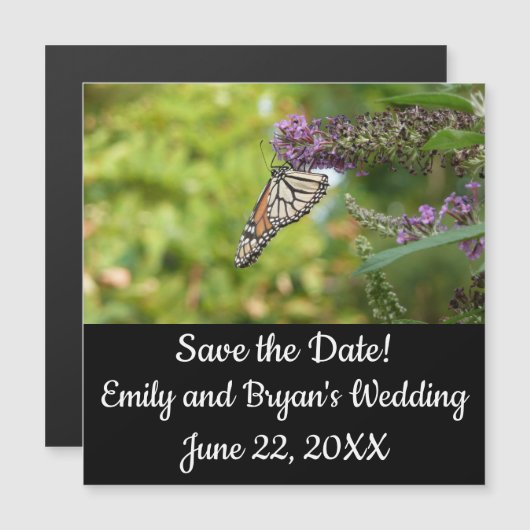 Monboogvlinder op Paarse vlinderStruik (Voorkant / Achterkant)