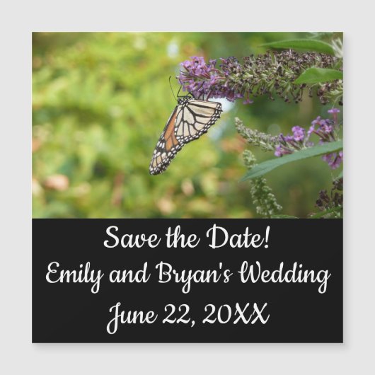 Monboogvlinder op Paarse vlinderStruik (Voorkant)