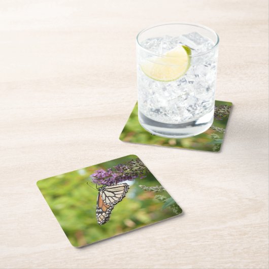 Monboogvlinder op Paarse vlinderStruik Kartonnen Onderzetters (Insitu)