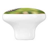 Monboogvlinder op Paarse vlinderStruik Keramische Knop (Zijkant)