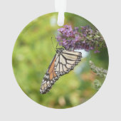 Monboogvlinder op Paarse vlinderStruik Ornament (achterkant)