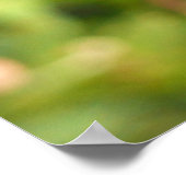 Monboogvlinder op Paarse vlinderStruik Poster (Hoek)