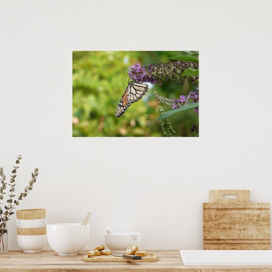 Monboogvlinder op Paarse vlinderStruik Poster (Keuken)