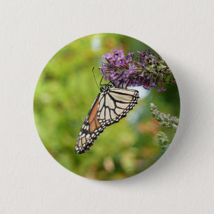 Monboogvlinder op Paarse vlinderStruik Ronde Button 5,7 Cm
